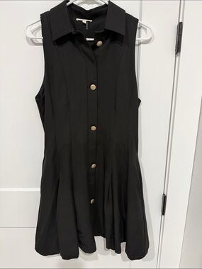 Entro Sleeveless Black Button-Front Collared Dress